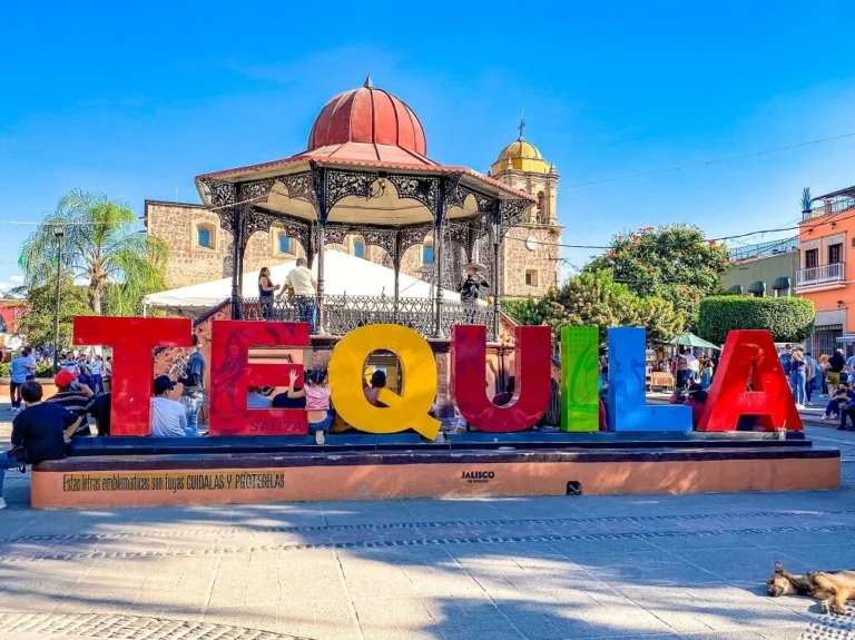 Tequila-sign