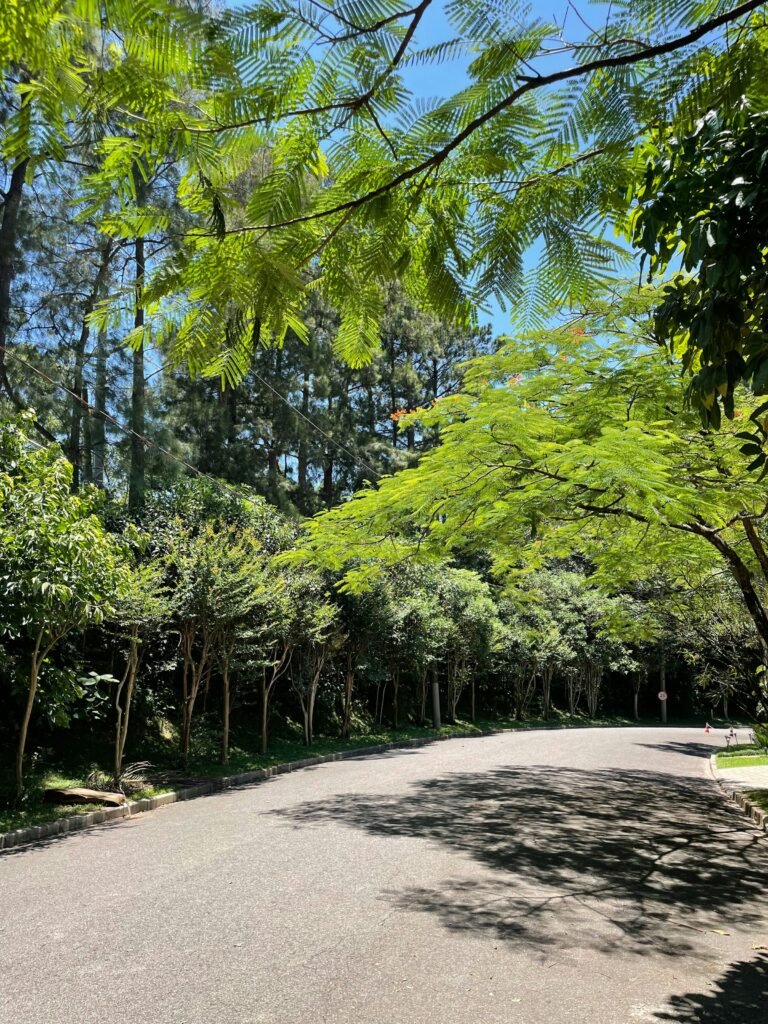 Green Escape at Parque Sarmiento
