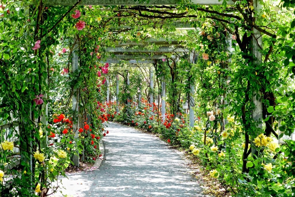 A Hidden Gem in Sarmiento Park