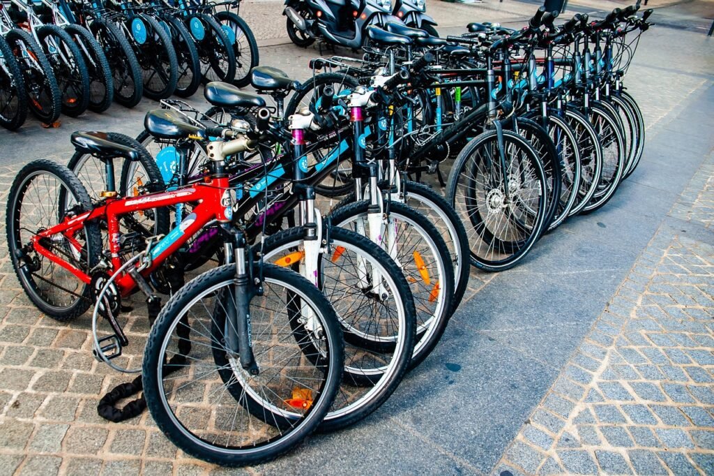 Explore Córdoba’s Elevated Bike Path