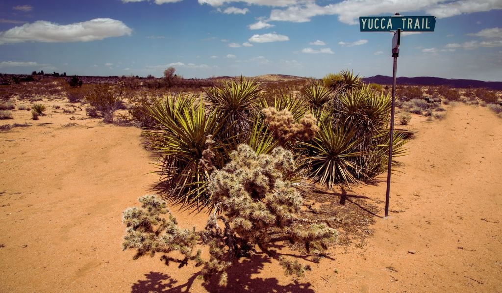Relax at Yucca Valley Community Park